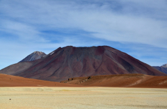 DSC_5429-ried-scaled