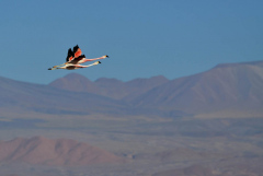 DSC_5368-ried-scaled