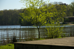 Vaguelettes-sur-le-lac-de-Tremelin-JPS-avril-2025