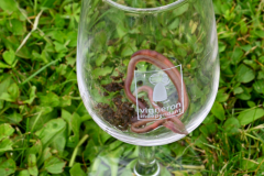 Vers-Verre-Vert-Michel-CZ