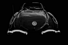Corvette- Erick