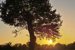 Heure dorée - Anna 2