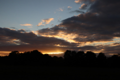 Contre_jour_oree_doree_10_2025