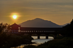 contre-jour-a-lheure-doree-Axelle