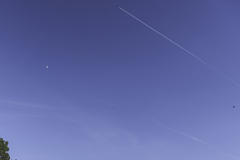 Dans-le-ciel