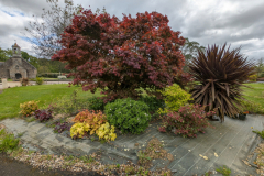 Au-jardin-rouge-micambor