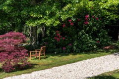 Dans-le-jardin-Walter