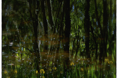 fond-du-JardinPierre.B