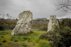 Les demoiselles de St Just - Celine