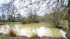 Etang-de-Queulan-JPSTEPHANT-29122025