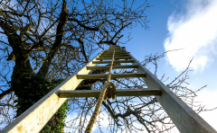 echelle-pour-monter-au-ciel-JPSTEPHANT-29122025