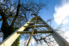 echelle-pour-monter-au-ciel-JPSTEPHANT-29122025