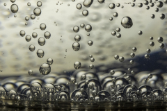 Ebullition-darchives-Micamb