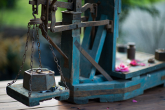 Kilogramm et Plume 1/ Walter