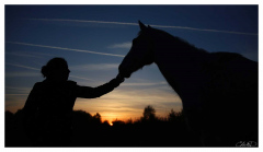 Contre-jour à l'Heure Dorée - Christophe