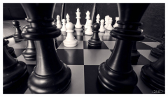 Lignes et Courbes - Christophe