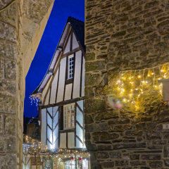 2025-ROCHEFORT-ILLUMINATIONS-DSCF8182_DxO