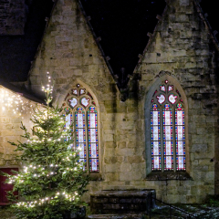 2025-ROCHEFORT-ILLUMINATIONS-DSCF8196_DxO