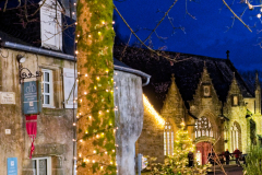 2025-ROCHEFORT-ILLUMINATIONS-DSCF8192_DxO