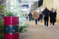 2025-ROCHEFORT-ILLUMINATIONS-DSCF8244_DxO