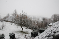 jardin-sous-la-neige JPStéphant
