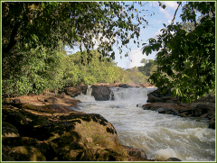 Guyane-Jocelyne Magnier