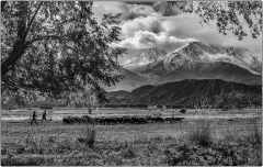 au-petit-matin-Jocelyne Magnier