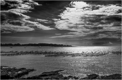 les-moulieres-Jocelyne Magnier