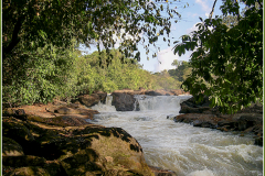 Guyane-Jocelyne Magnier