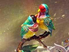 OISEAUX