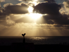 SIRENE