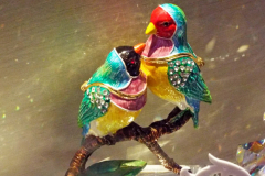 OISEAUX