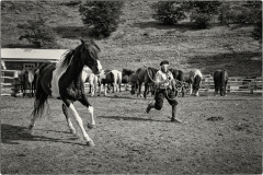 attrape moi/Patagonie - michel bailly