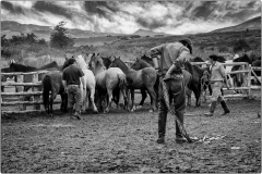 les gauchos/Patagonie - michel bailly