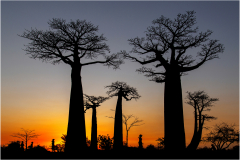 Coucher de soleil/Madagascar - michel bailly