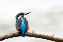 je te vois/Bretagne -michel bailly