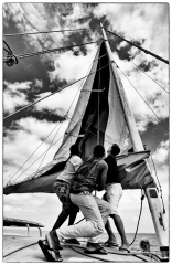 selection-Monochrome-©-Micamb-03