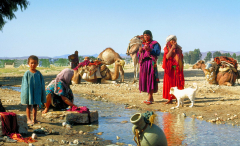 selection-couleur-©-Micamb-01