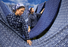 selection-couleur-©-Micamb-02