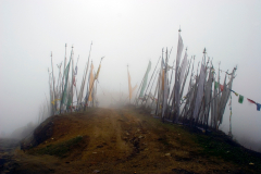 selection-couleur-©-Micamb-04