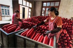 selection-couleur-©-Micamb-09