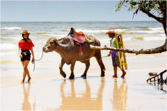 selection-couleur-©-Micamb-10