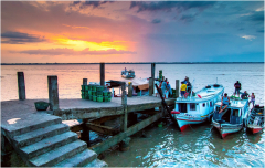 selection-couleur-©-Micamb-12