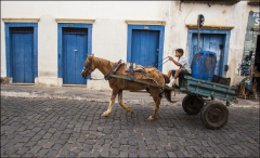 selection-couleur-©-Micamb-17