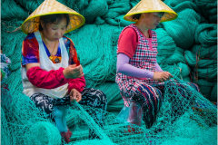 selection-couleur-©-Micamb-08