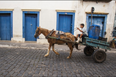 selection-couleur-©-Micamb-17