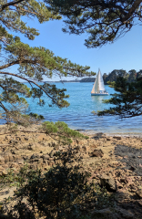 PXL_20260406_140404508