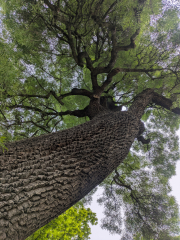PXL_20260412_094922095