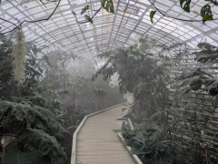 PXL_20260412_114211051