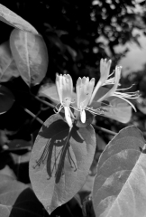 PXL_20260503_102349224